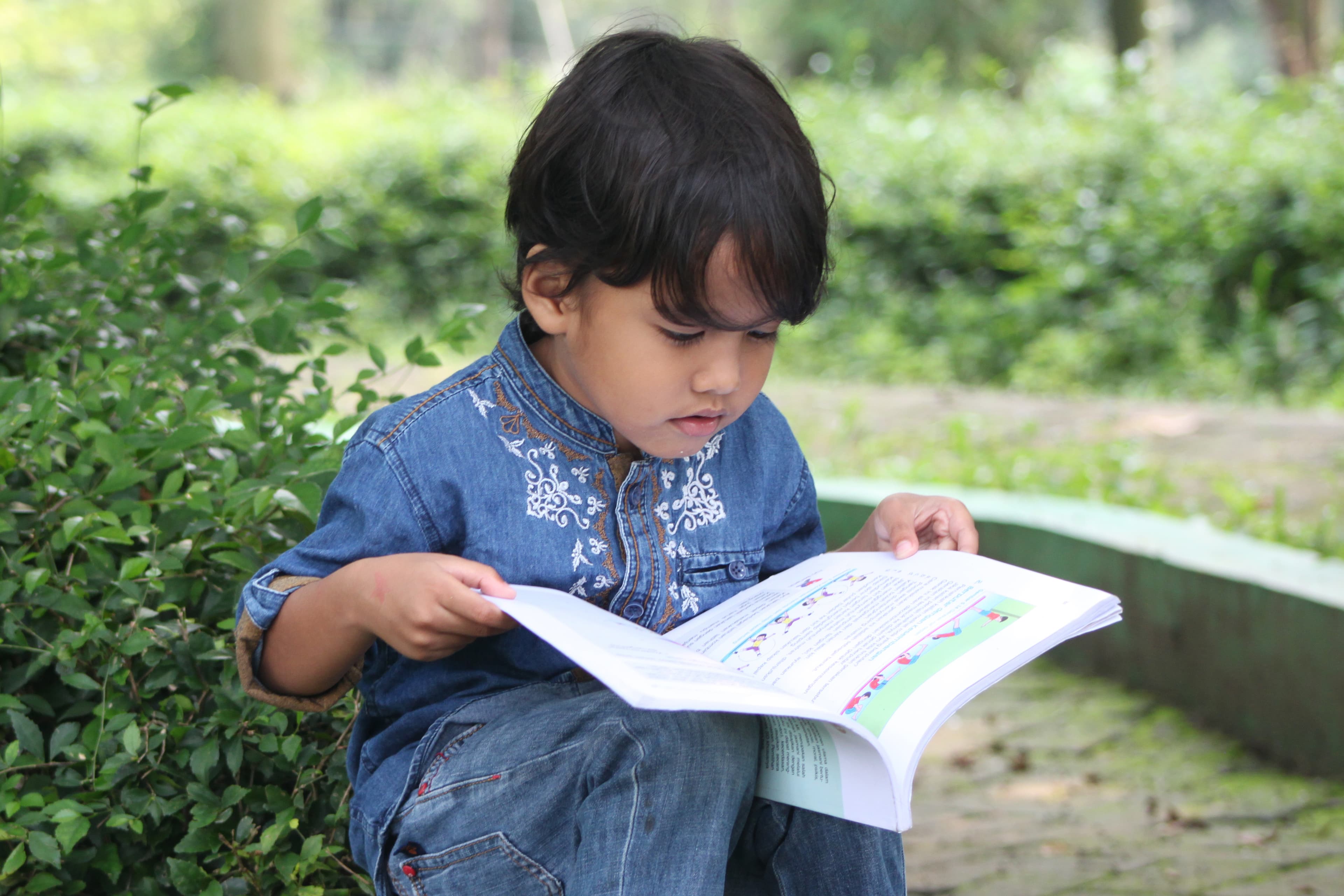 Storytelling & multilingual language experiences
