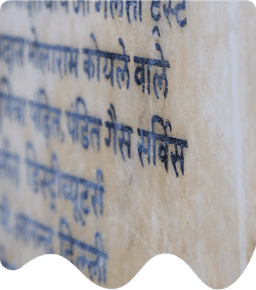 Mother Tongue Preservation